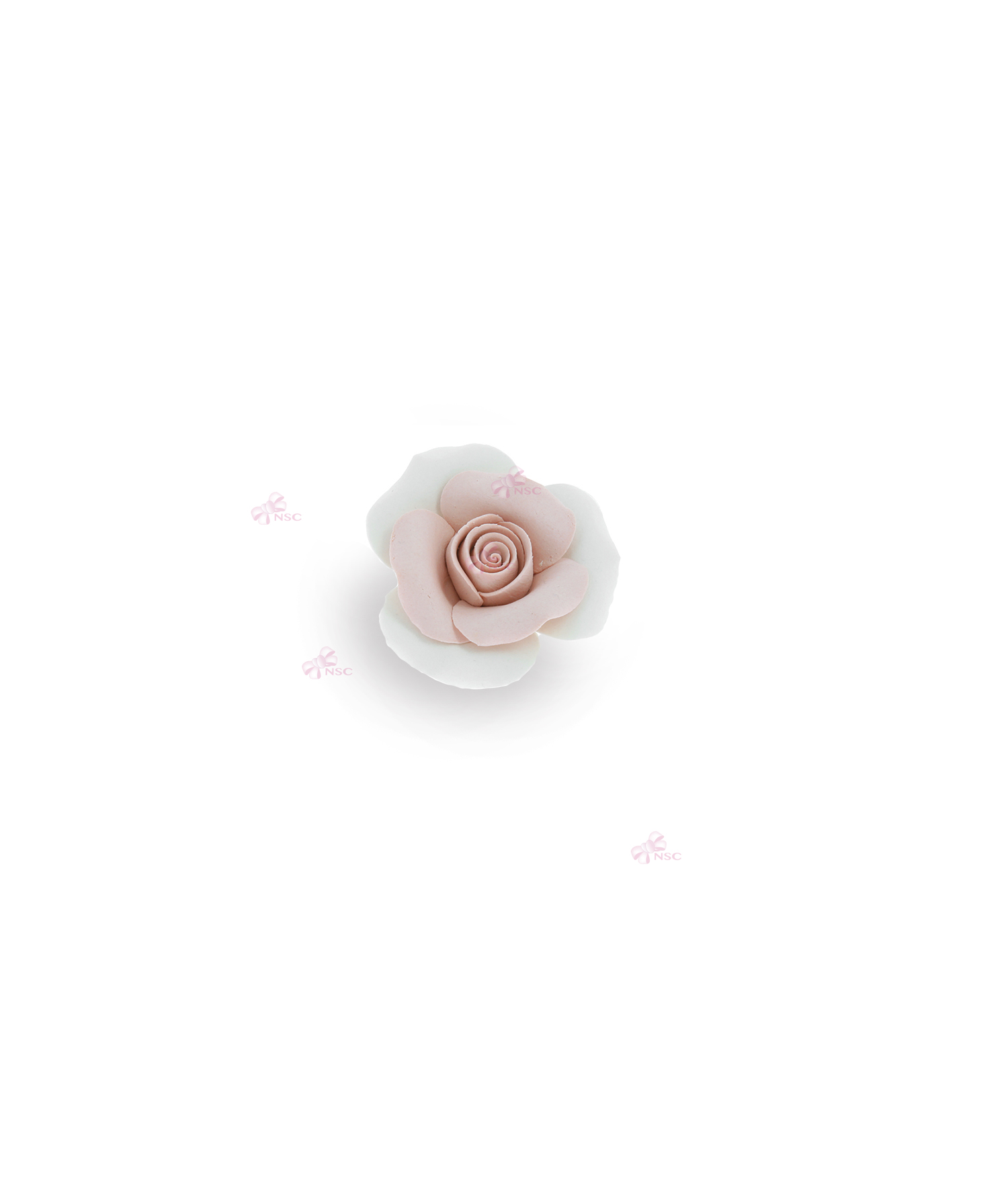 Rosa Bicolor Rosa - NonSoloCerimonie.it