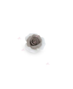 Rosa Bicolor Tortora - NonSoloCerimonie.it