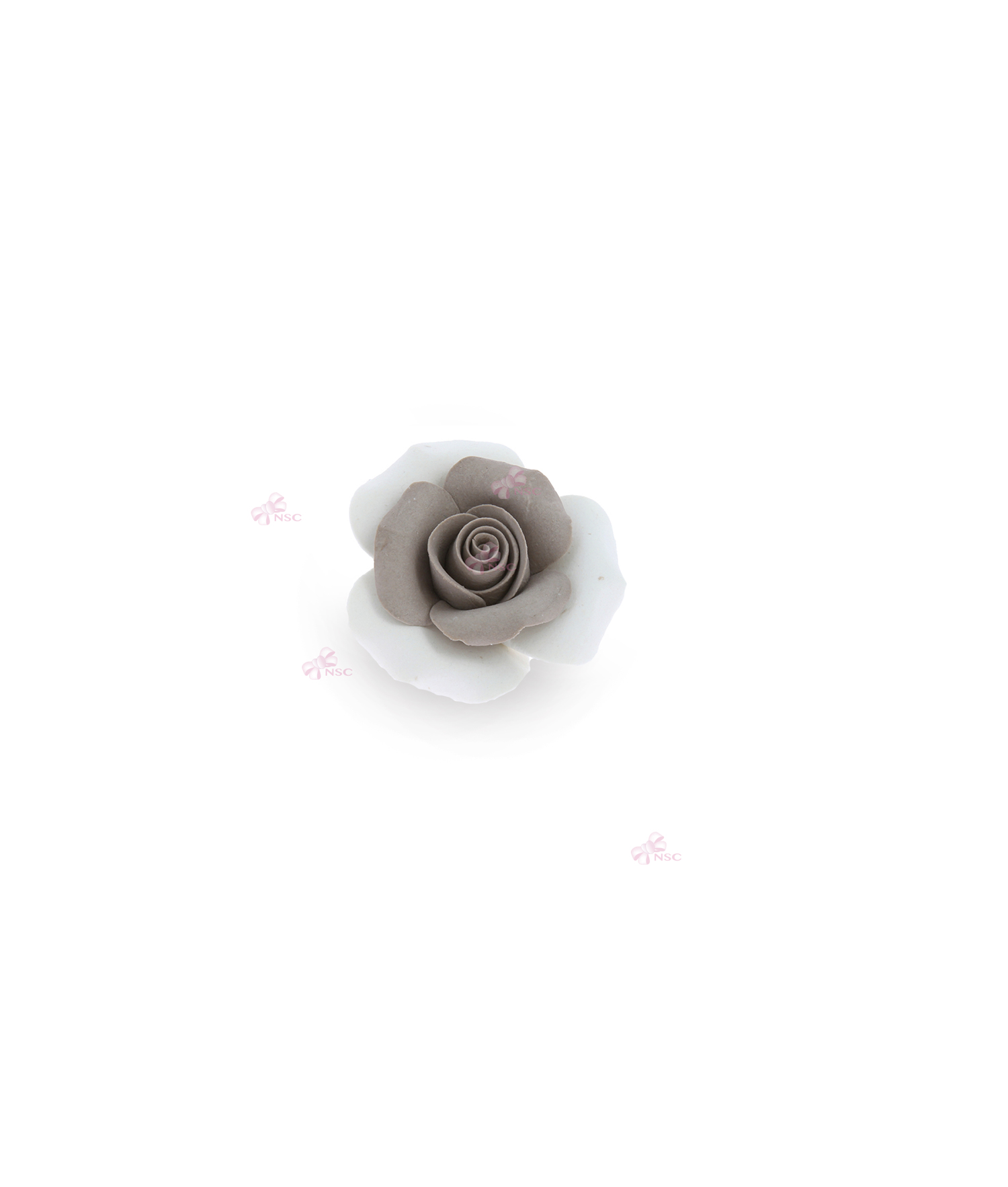 Rosa Bicolor Tortora - NonSoloCerimonie.it