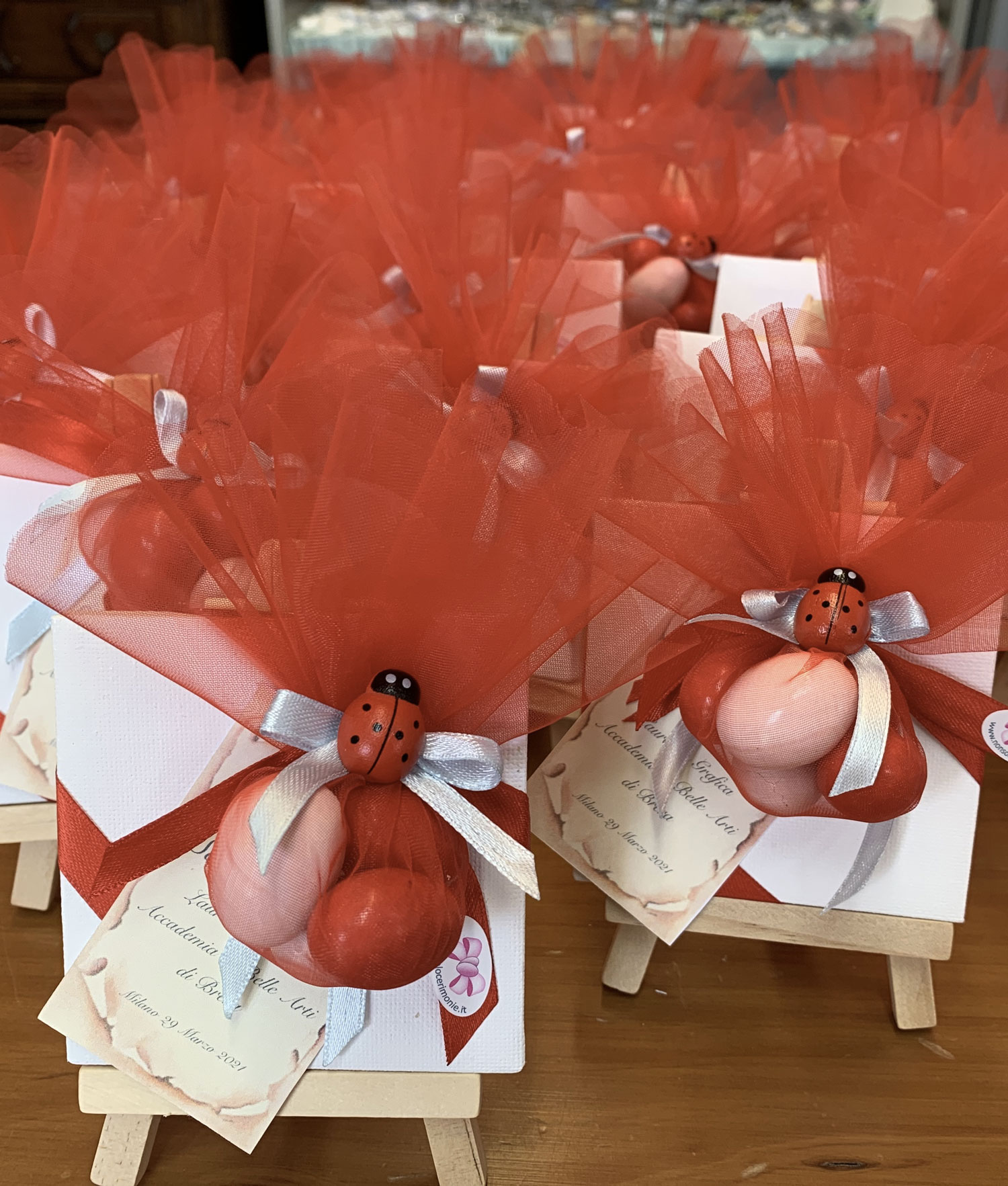 Bomboniera Laurea Accademia delle Belle Arti Celeste Pergamena 100 - NonSoloCerimonie.it