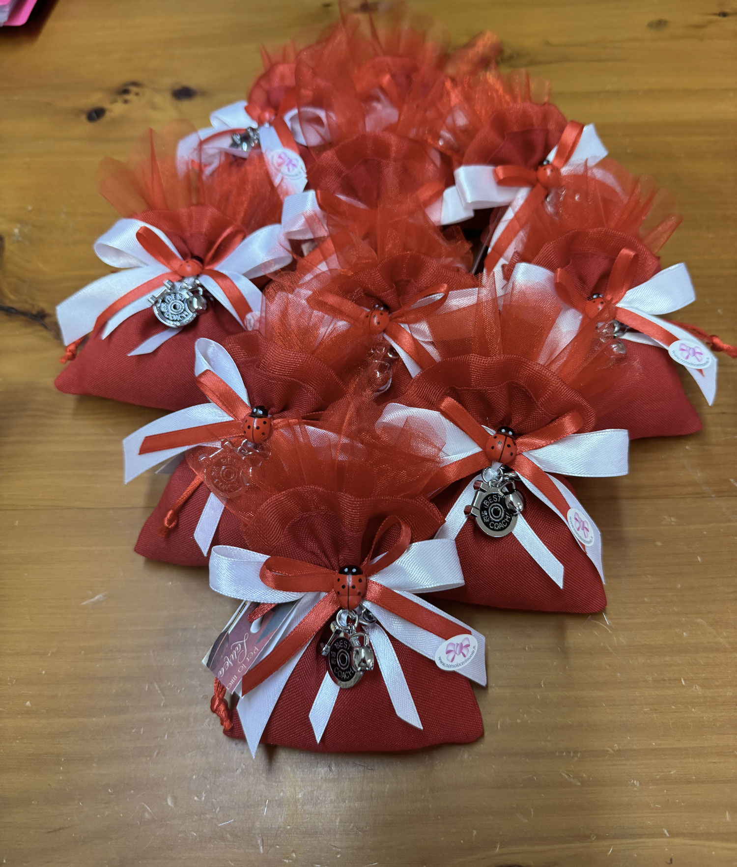 Bomboniera Sacchetto Laurea Scienze Motorie Rosso Bianco 100 - NonSoloCerimonie.it
