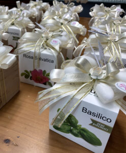 Bomboniera EcoCubo Green da Piantare Avorio 101 - NonSoloCerimonie.it
