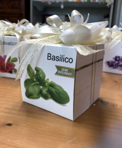 Bomboniera EcoCubo Green da Piantare Avorio 102 - NonSoloCerimonie.it