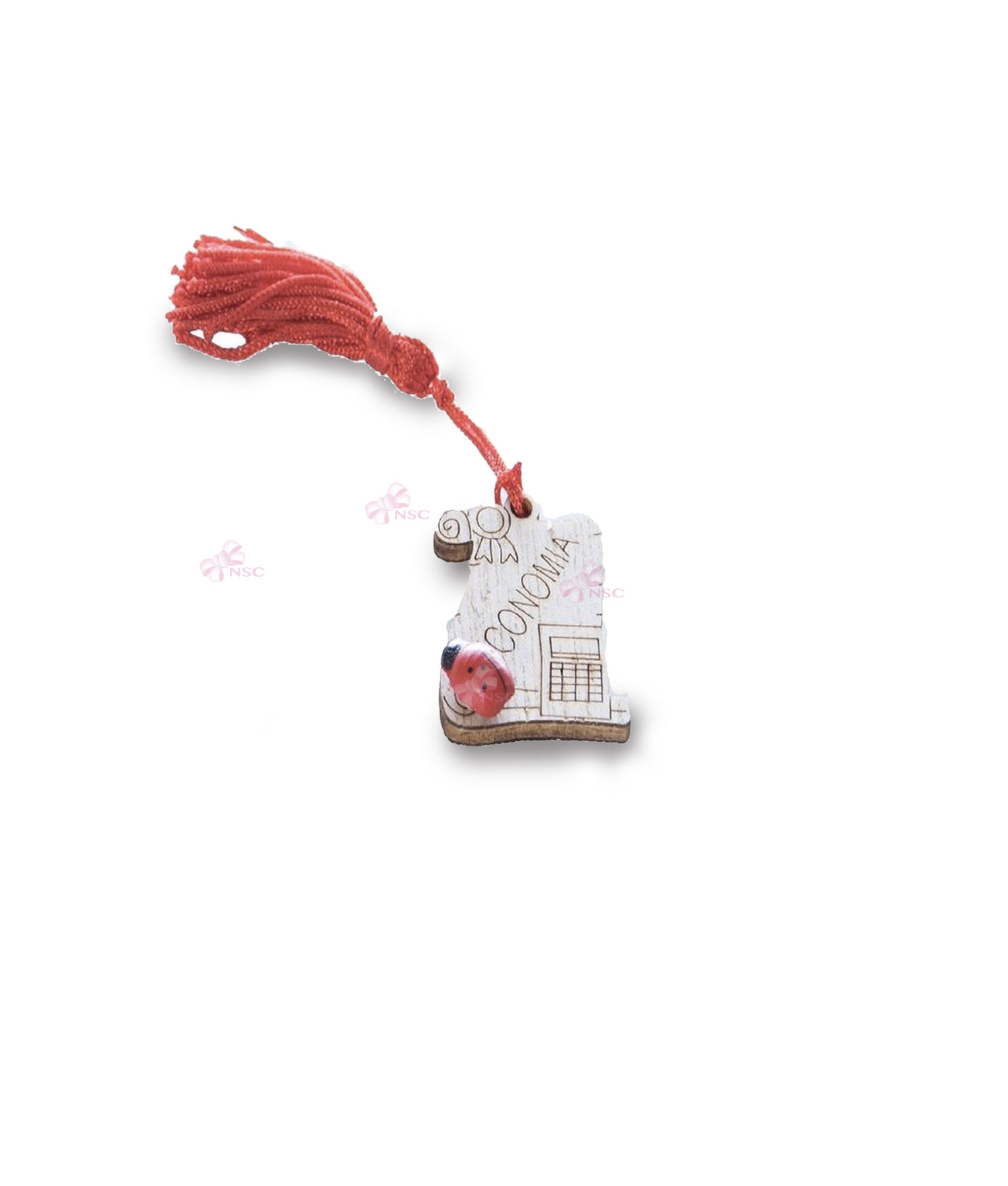 Magnete Laurea Pergamena Economia - NonSoloCerimonie.it